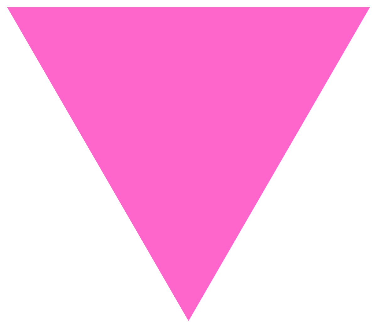Le Rosa Winkel, triangle rose des camps. Cousu sur la veste de bagne des détenus condamnés au titre du paragraphe 175, il les plaçait au plus bas de la hiérarchie concentrationnaire. Selon le